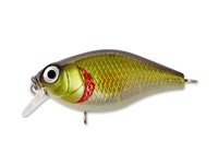 Raven XS 55F